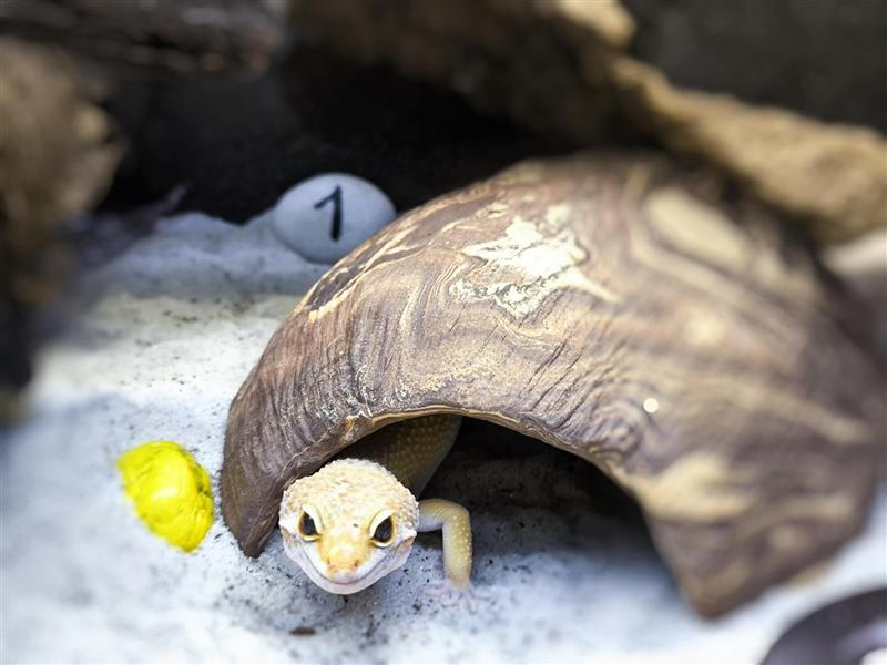 Novinka v Přírodovědném centru 