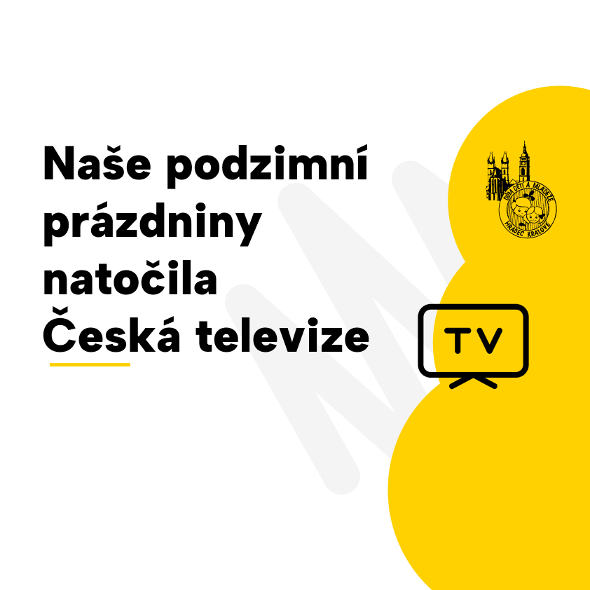 Naše práce zaznamenána v České televizi. 