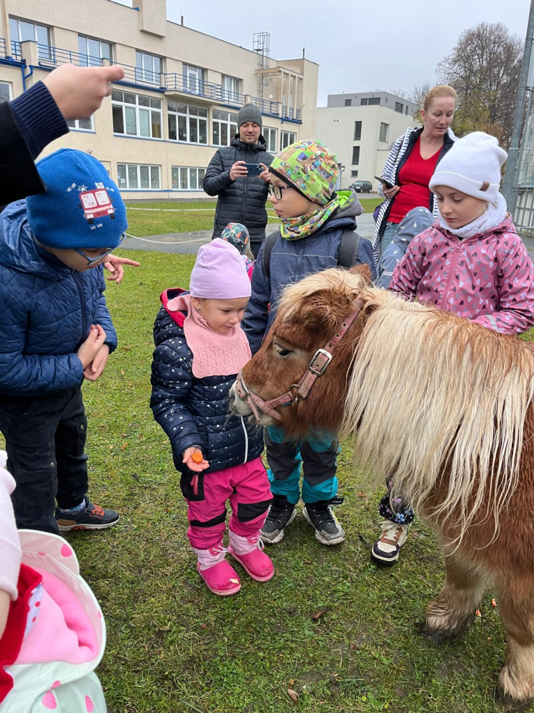Zvířecí odpoledne se vydařilo na jedničku!