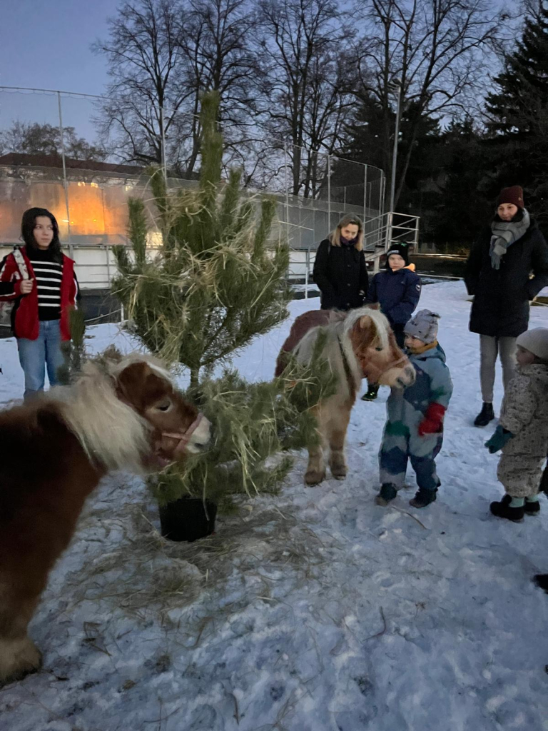 Rozsvícení vánočního stromečku