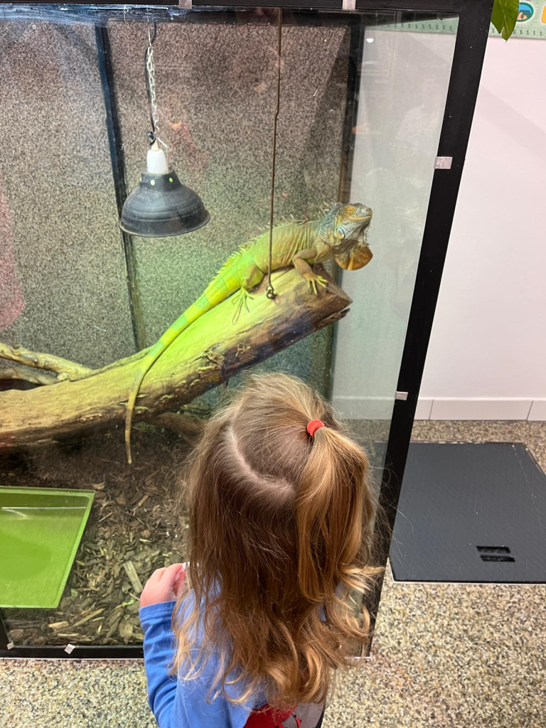 WhatsApp Image 2025-11-29 at 09.33.04 (14).jpeg