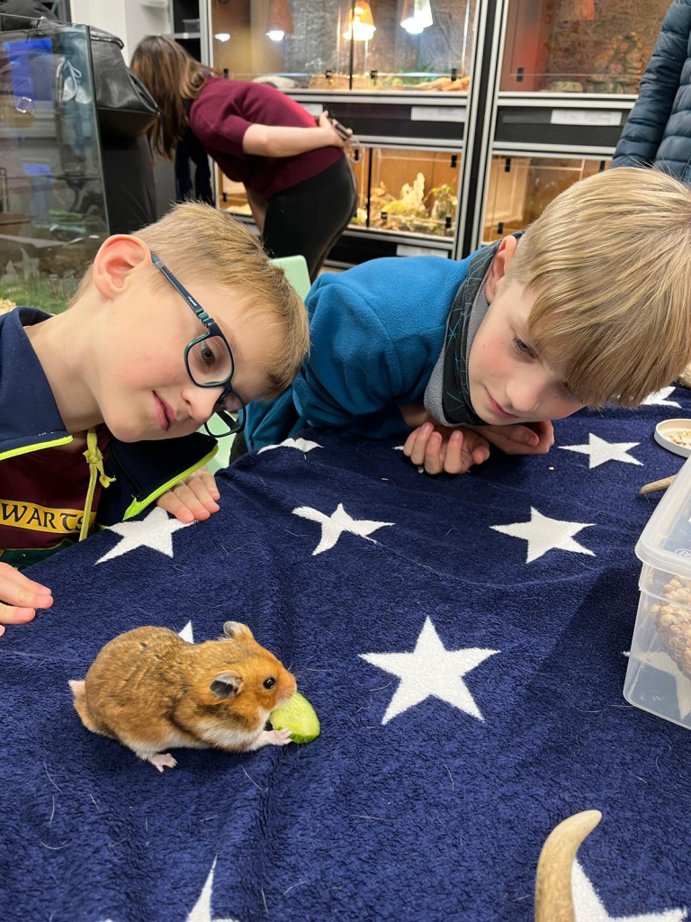 WhatsApp Image 2025-11-29 at 09.33.04 (12).jpeg