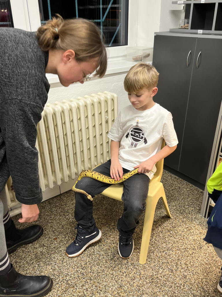 WhatsApp Image 2025-11-29 at 09.33.04 (13).jpeg