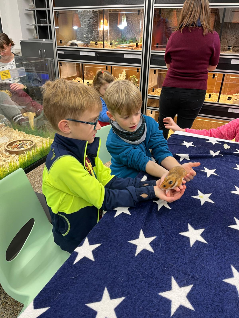 WhatsApp Image 2025-11-29 at 09.33.04 (10).jpeg