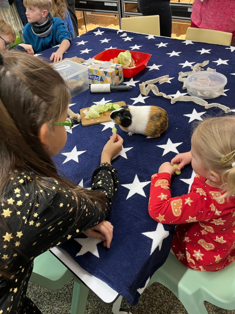 WhatsApp Image 2025-11-29 at 09.33.04 (8).jpeg