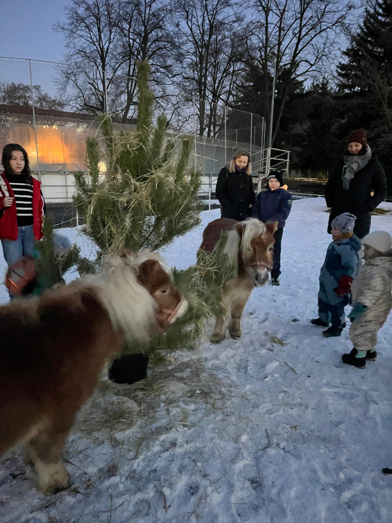 WhatsApp Image 2025-11-29 at 09.33.04 (6).jpeg