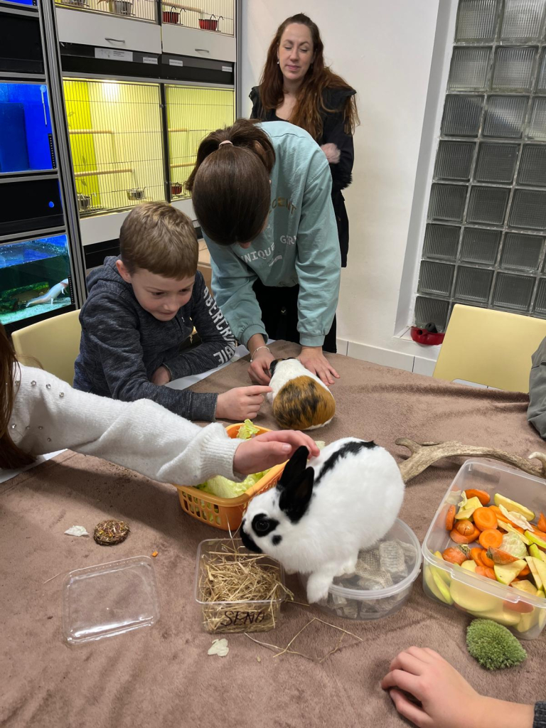 WhatsApp Image 2025-12-14 at 21.08.17.jpeg