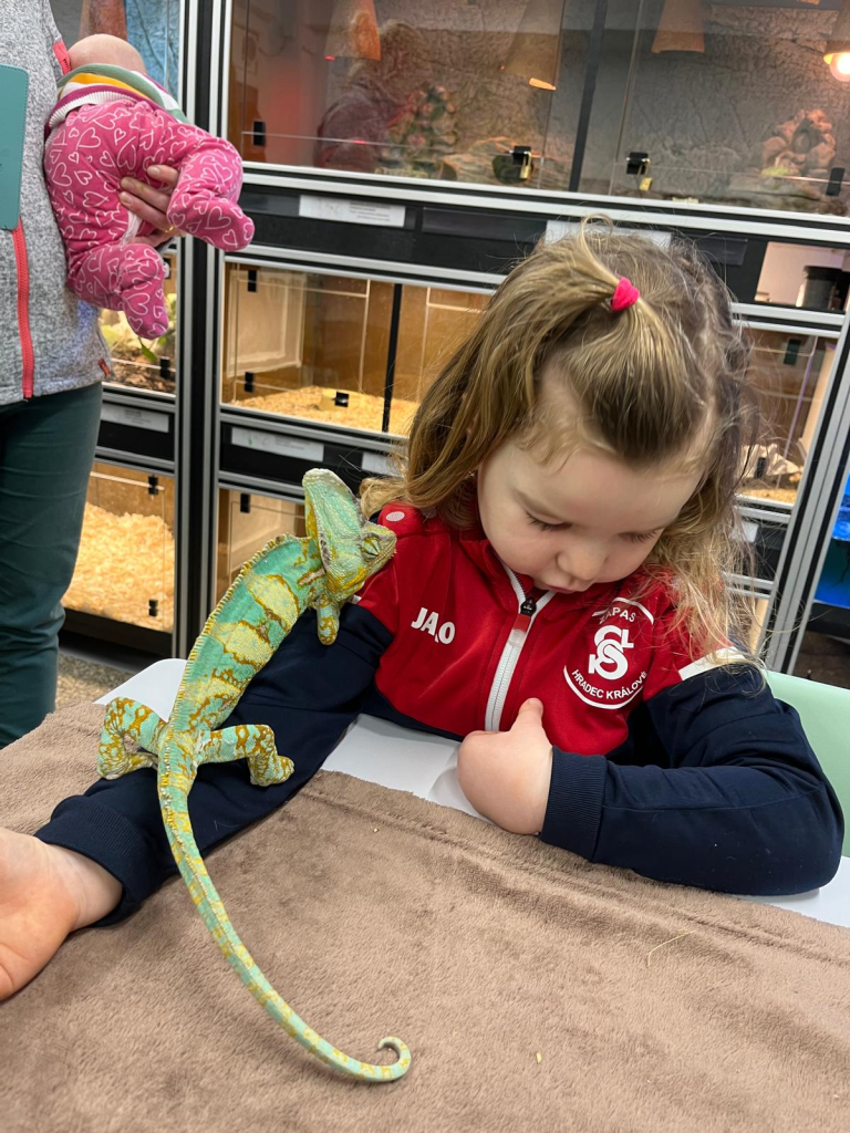 WhatsApp Image 2025-12-14 at 21.08.19 (1).jpeg