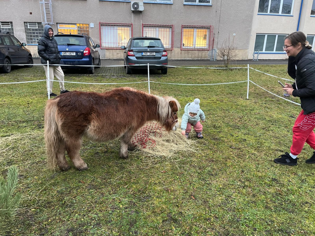 WhatsApp Image 2025-12-14 at 21.08.20 (1).jpeg