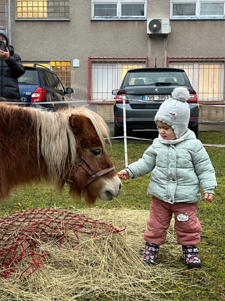 WhatsApp Image 2025-12-14 at 21.08.20 (2).jpeg