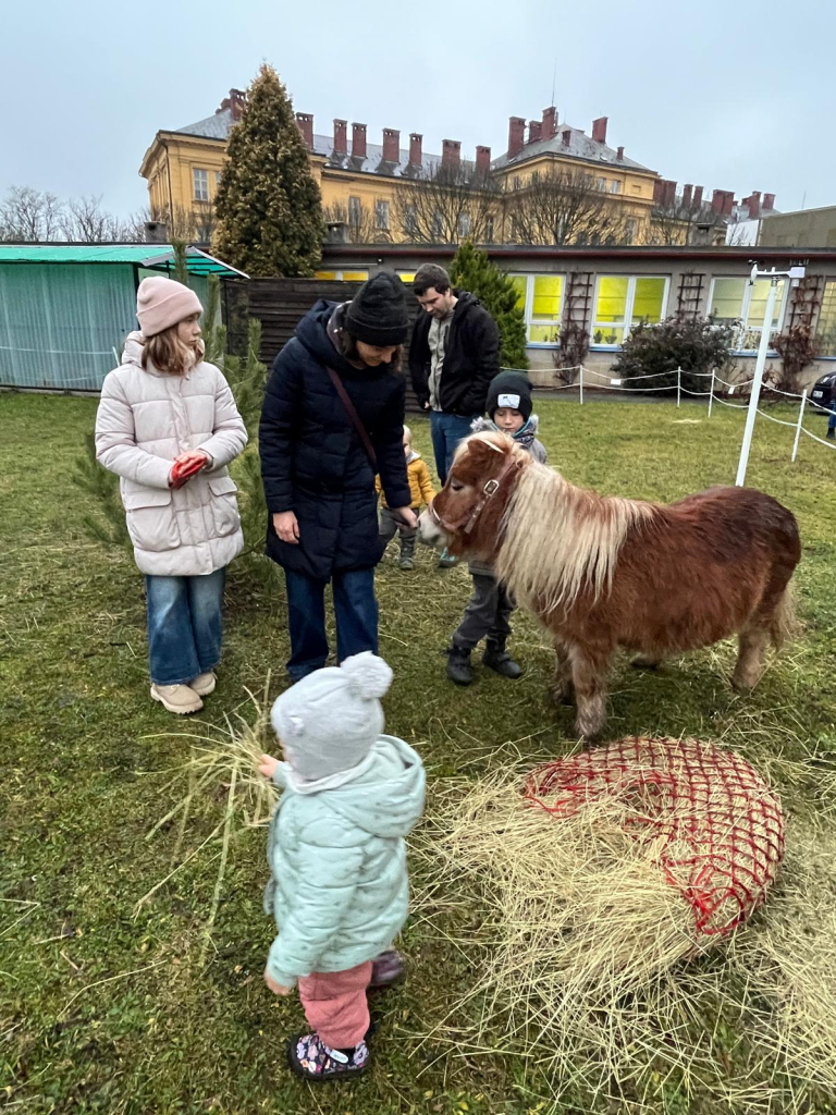 WhatsApp Image 2025-12-14 at 21.08.20 (3).jpeg