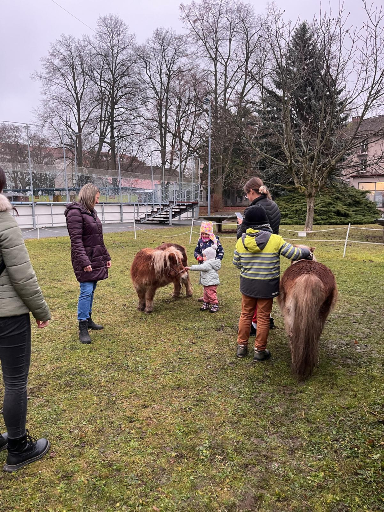 WhatsApp Image 2025-12-14 at 21.08.20.jpeg