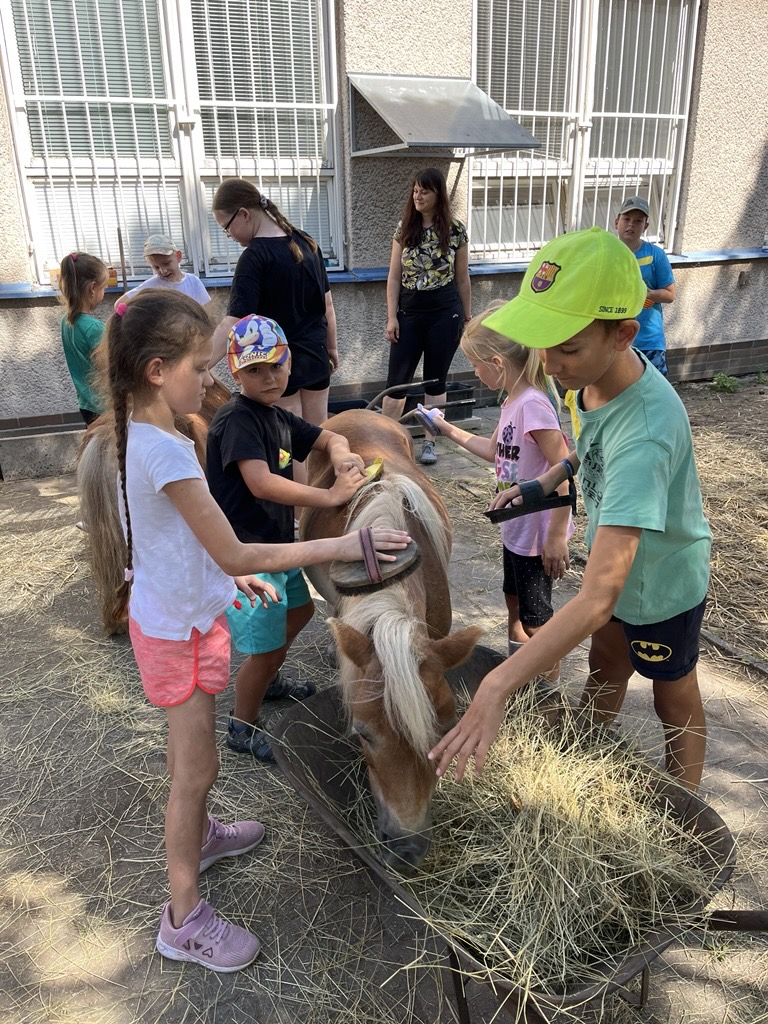 Příměstský přírodovědný tábor