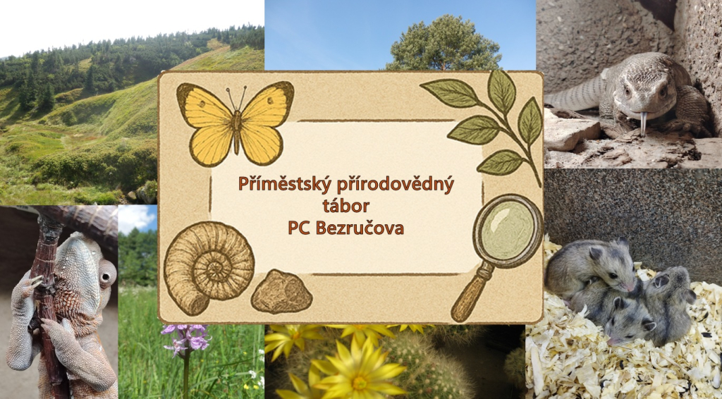 Příměstský přírodovědný PC tábor