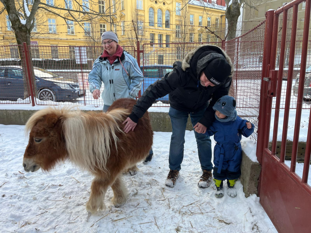 WhatsApp Image 2026-01-11 at 21.24.01 (2).jpeg