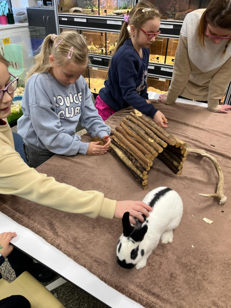 WhatsApp Image 2026-01-11 at 21.24.01 (5).jpeg