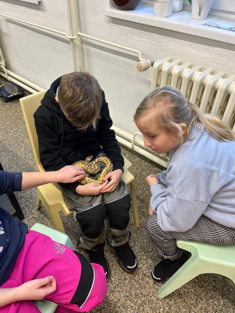 WhatsApp Image 2026-01-11 at 21.24.01 (3).jpeg