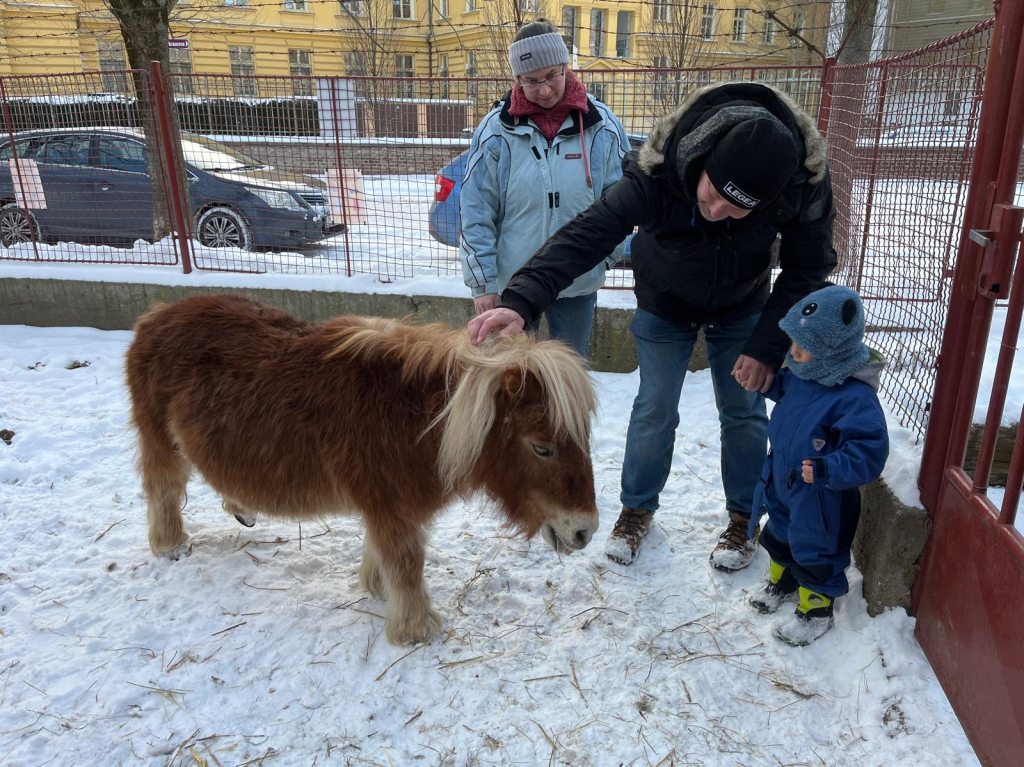 WhatsApp Image 2026-01-11 at 21.24.01 (1).jpeg