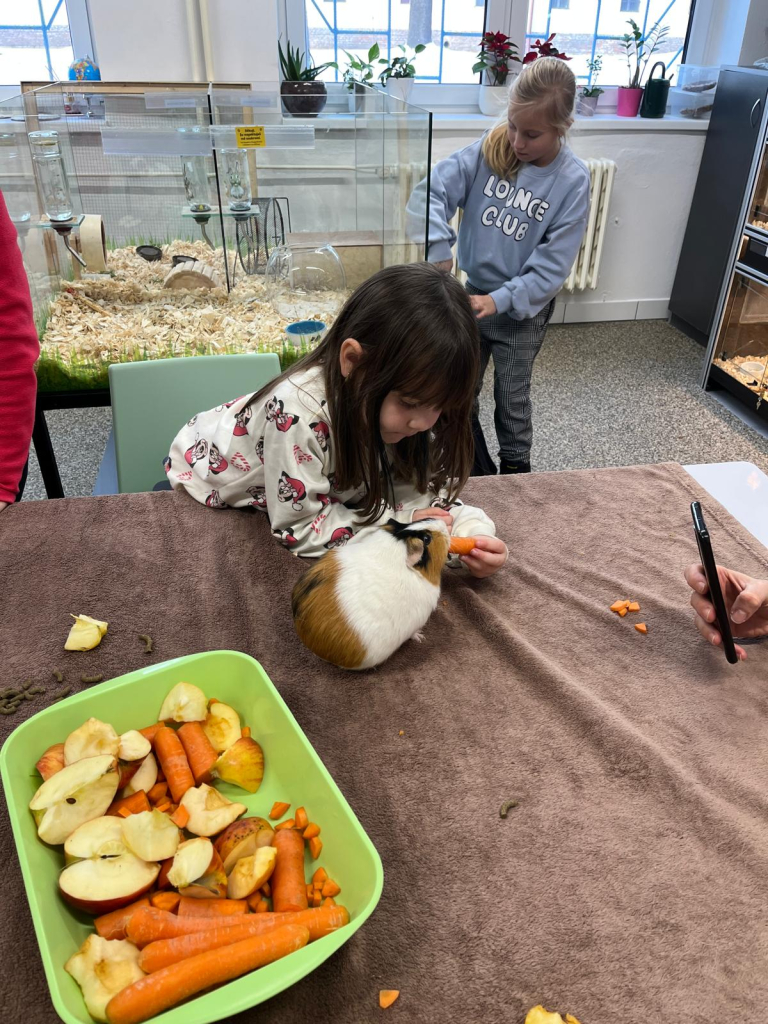 WhatsApp Image 2026-01-11 at 21.24.01.jpeg