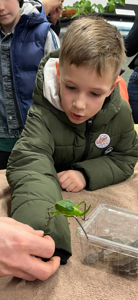 WhatsApp Image 2026-02-15 at 22.38.24 (4).jpeg