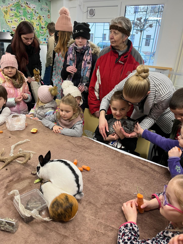 WhatsApp Image 2026-02-15 at 22.39.14.jpeg