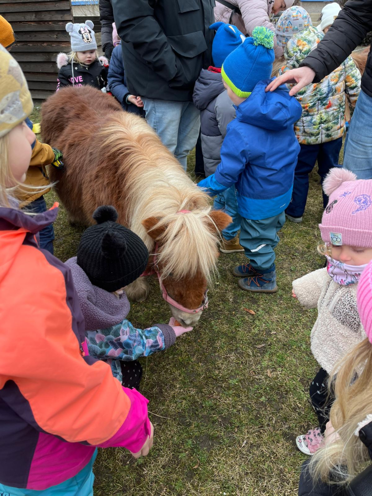 WhatsApp Image 2026-02-15 at 22.38.23 (3).jpeg