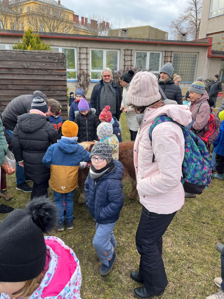 WhatsApp Image 2026-02-15 at 22.38.23 (2).jpeg