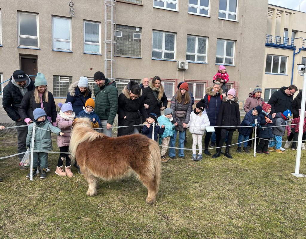 WhatsApp Image 2026-02-15 at 22.38.23 (1).jpeg