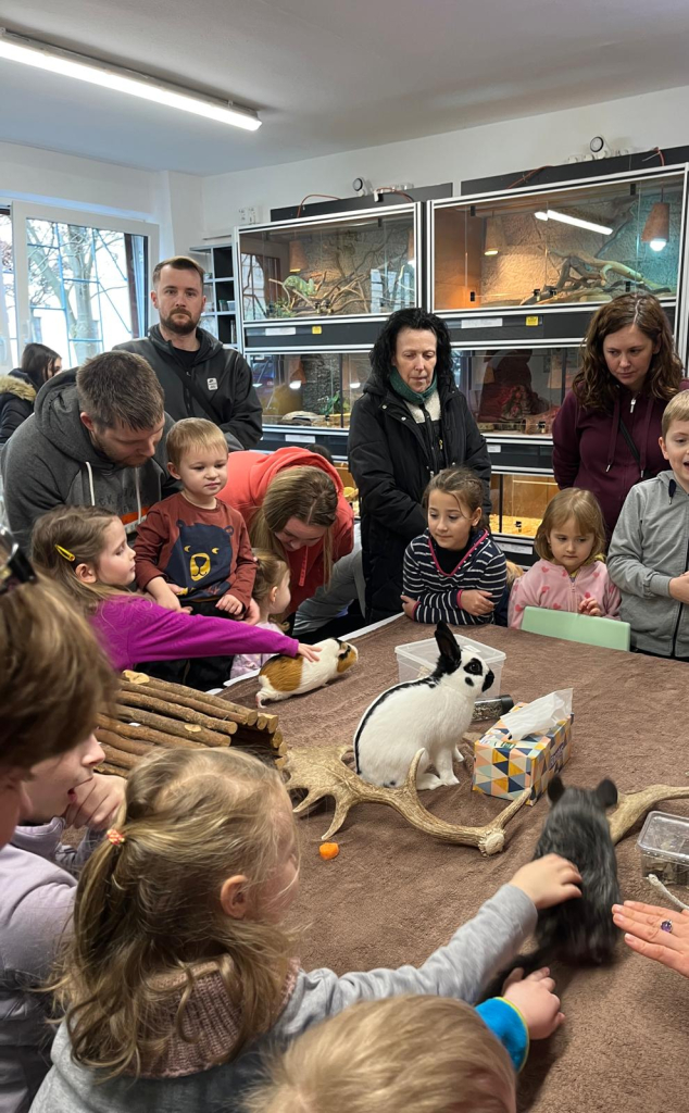 WhatsApp Image 2026-02-15 at 22.38.23.jpeg