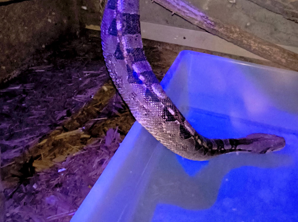 Média - 2026-03-18T150730.476.jpg