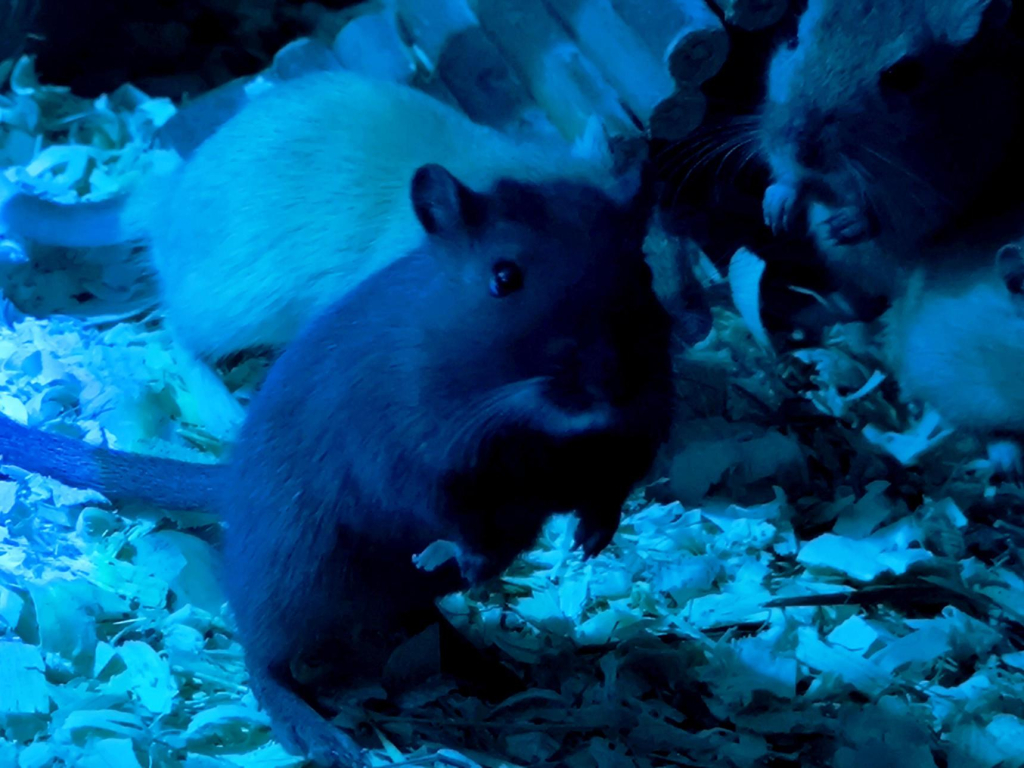 Média - 2026-03-18T150725.676.jpg