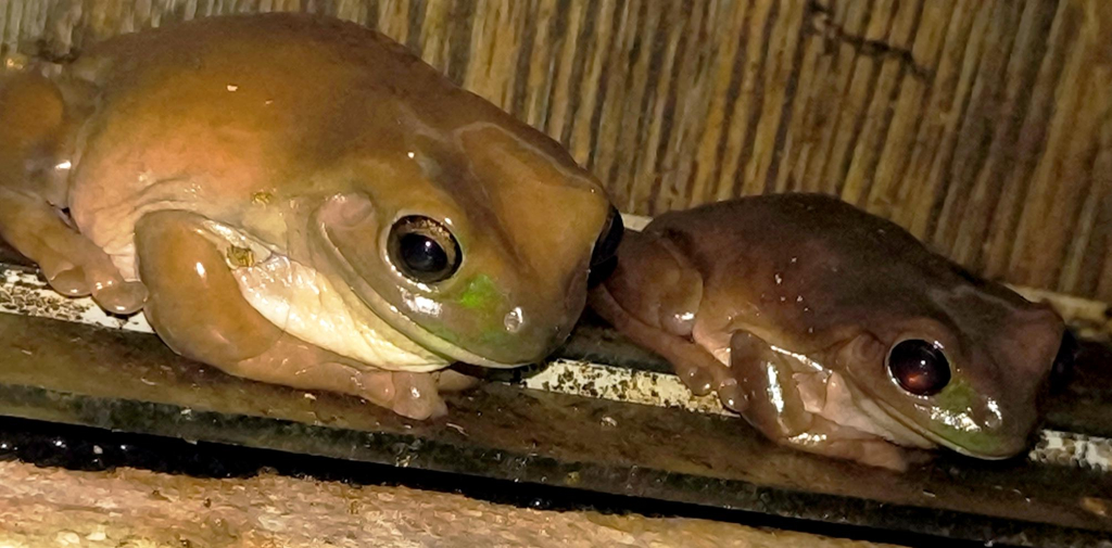 Média - 2026-03-18T150729.252.jpg