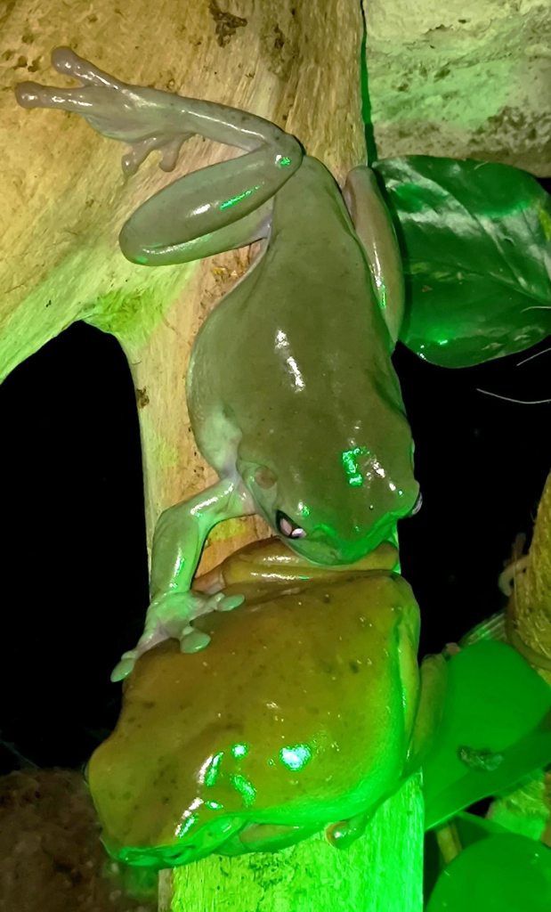 Média - 2026-03-18T150728.117.jpg