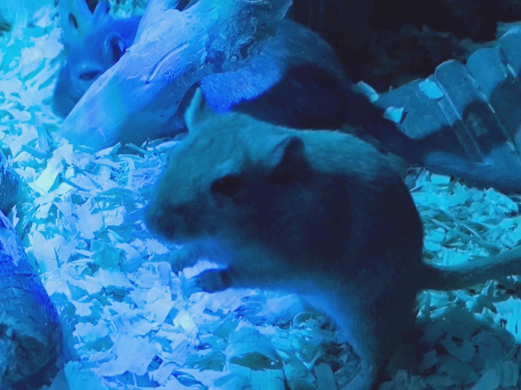 Média - 2026-03-18T150726.756.jpg