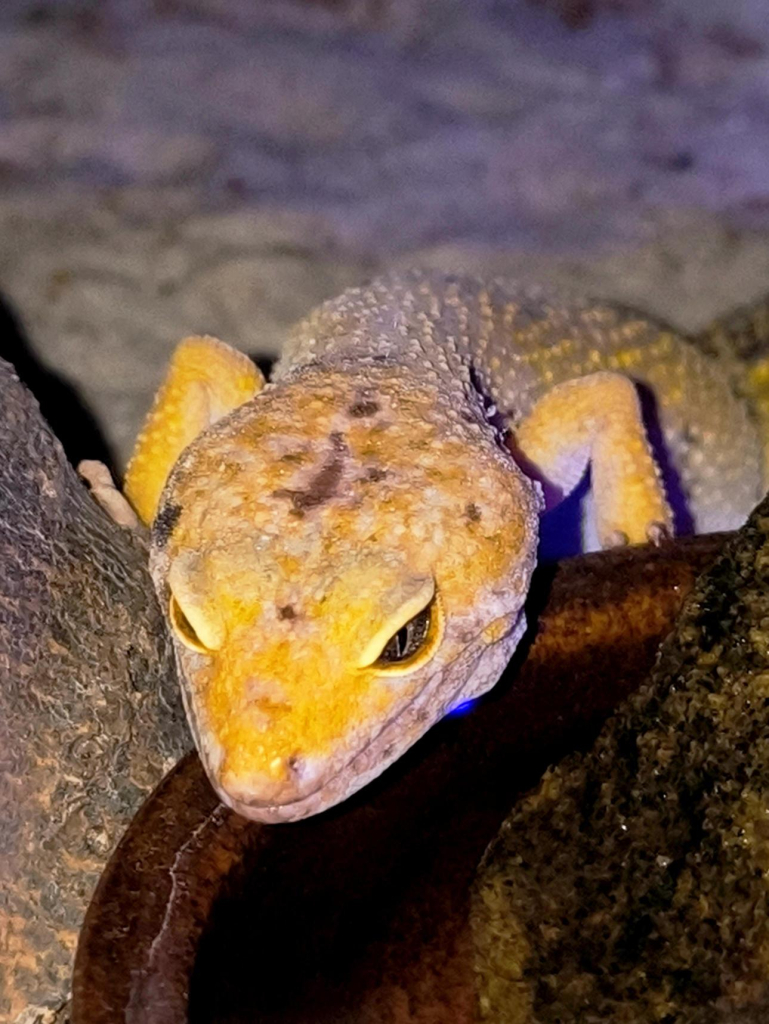 Média - 2026-03-18T150724.501.jpg