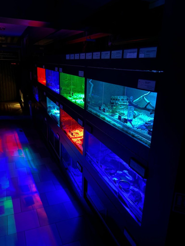 shared image (10).jpg