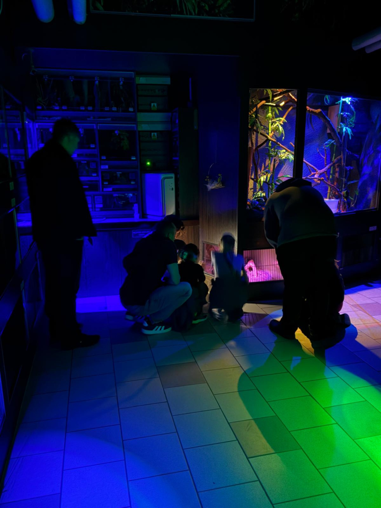 shared image (9).jpg