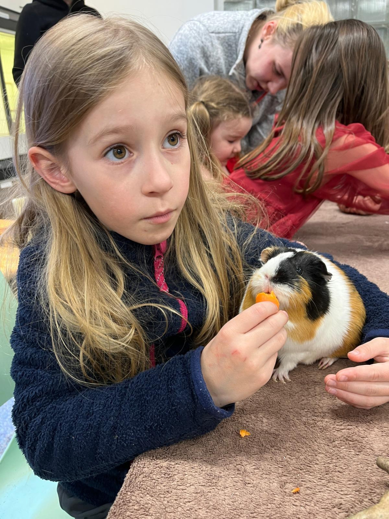 WhatsApp Image 2026-03-29 at 19.56.27 (3).jpeg