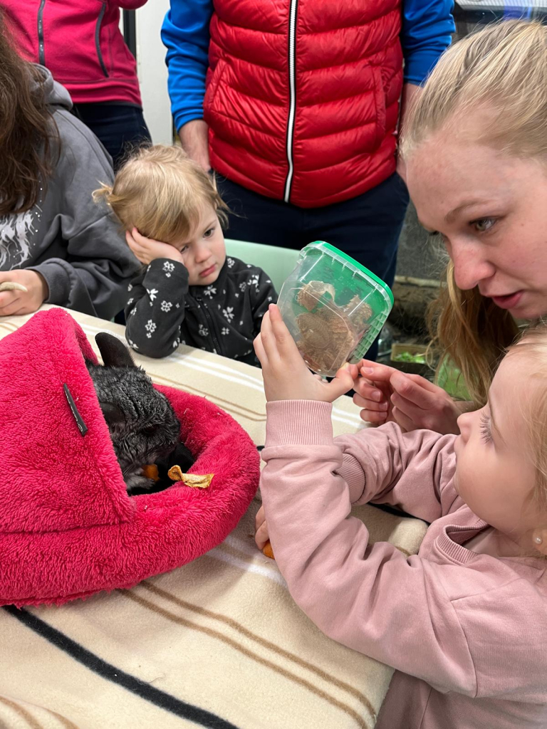 WhatsApp Image 2026-03-29 at 19.56.27 (2).jpeg