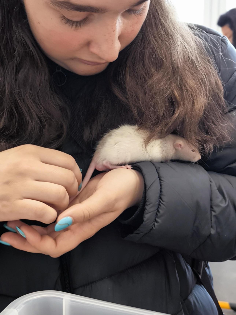 Média - 2026-04-15T045017.344.jpg