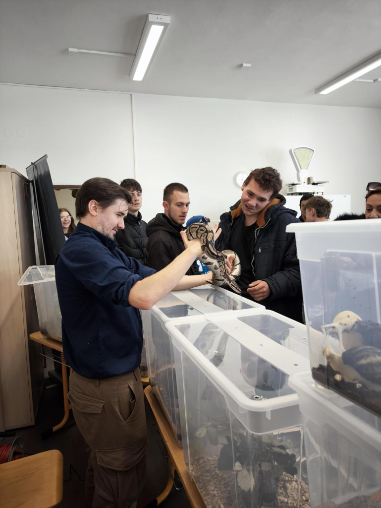 Média - 2026-04-15T045013.463.jpg