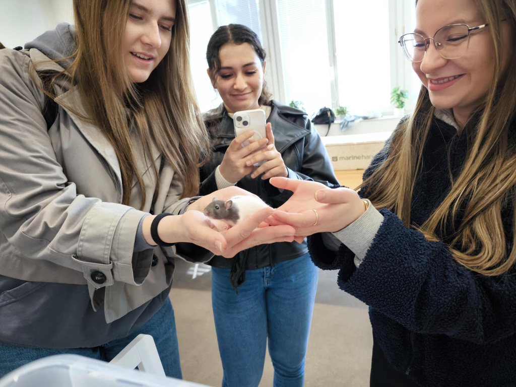 Média - 2026-04-15T045015.037.jpg