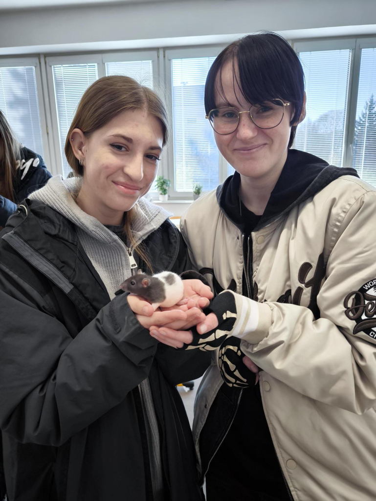 Média - 2026-04-15T045016.601.jpg