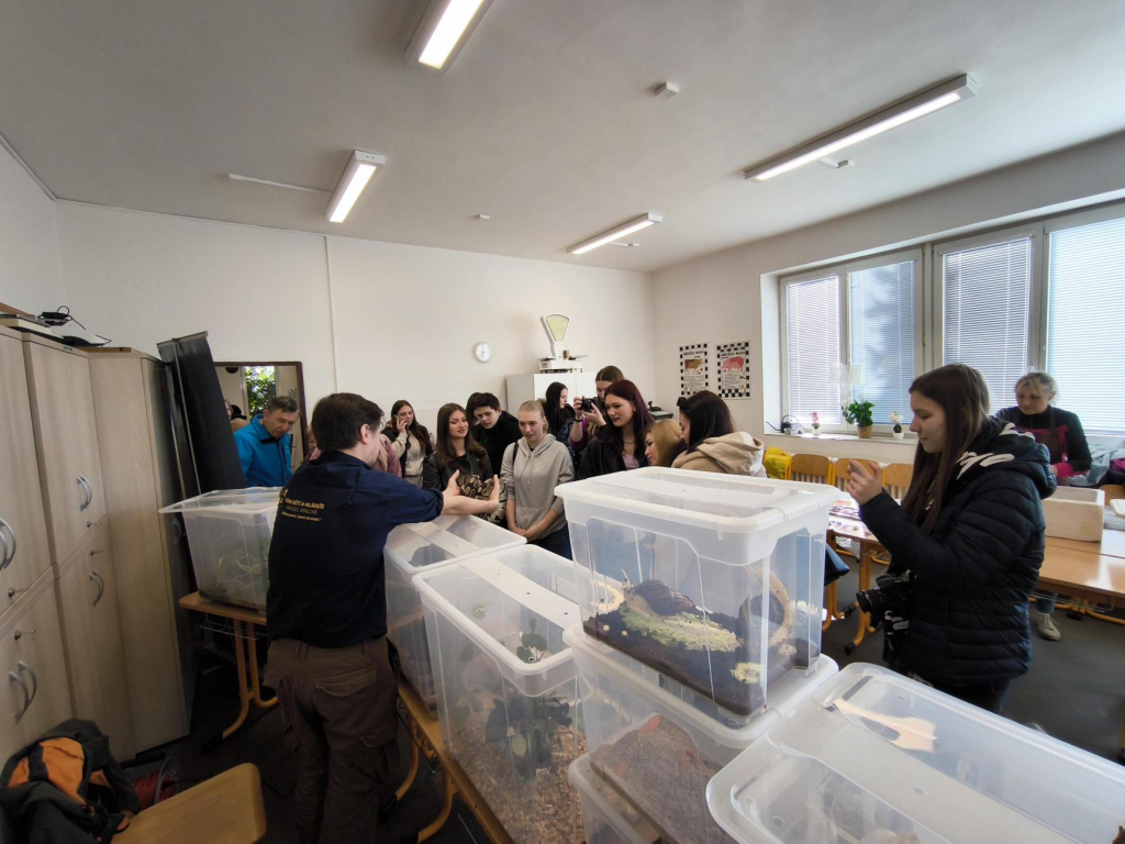 Média - 2026-04-15T045015.846.jpg