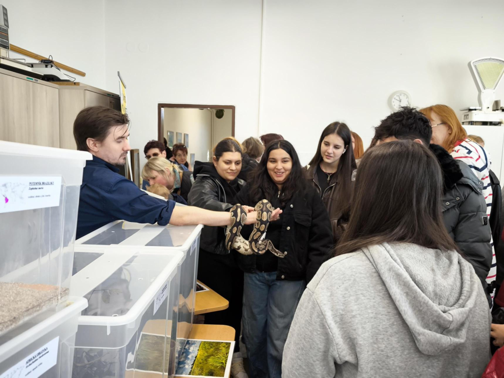 Média - 2026-04-15T045011.904.jpg