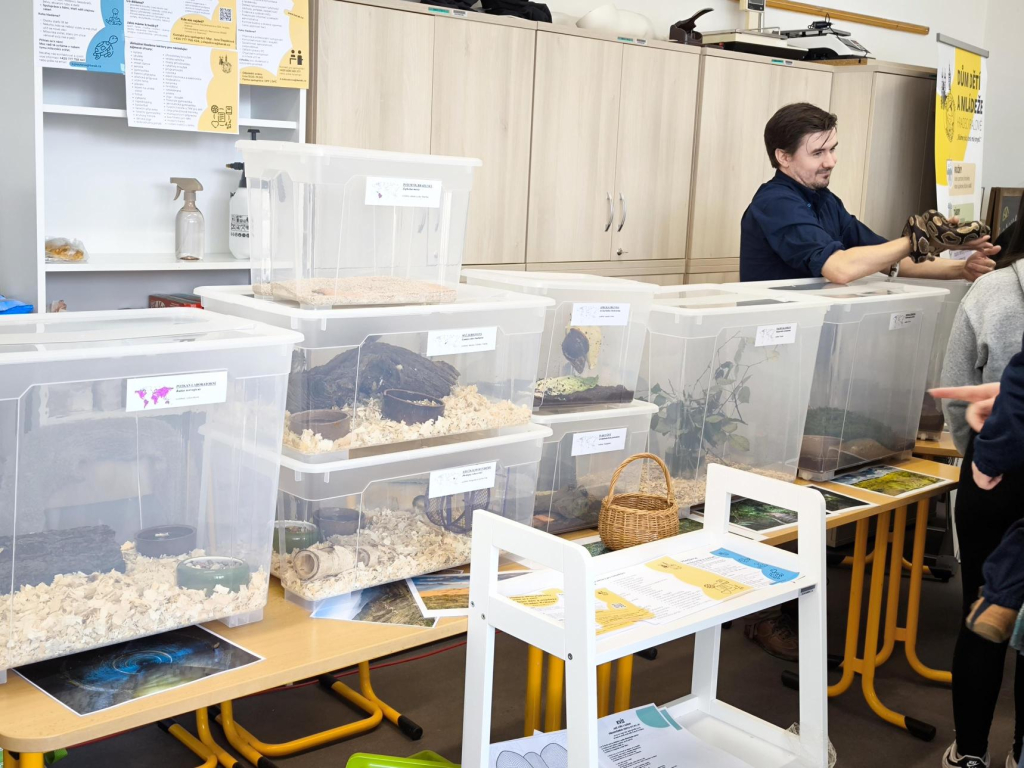 Média - 2026-04-15T045011.072.jpg