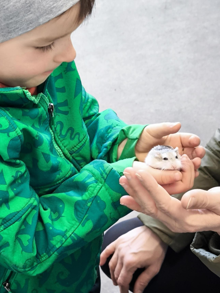 Média - 2026-04-15T045010.280.jpg