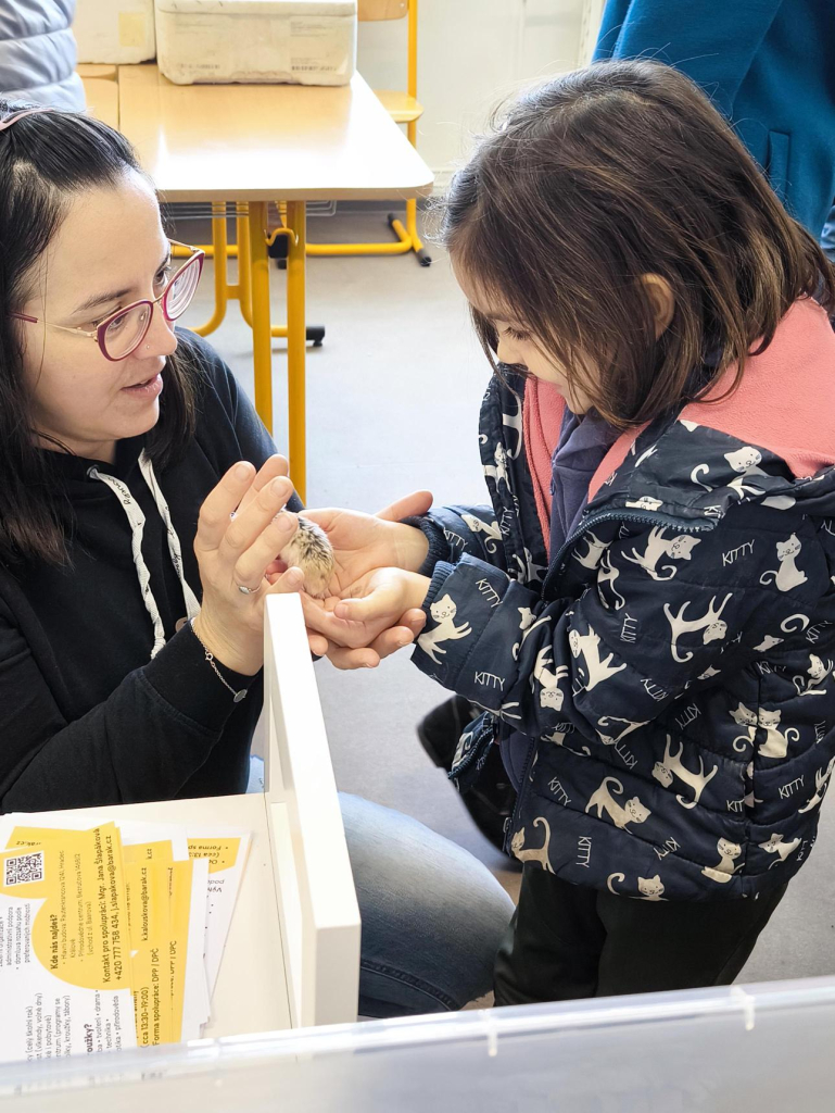 Média - 2026-04-15T045009.495.jpg