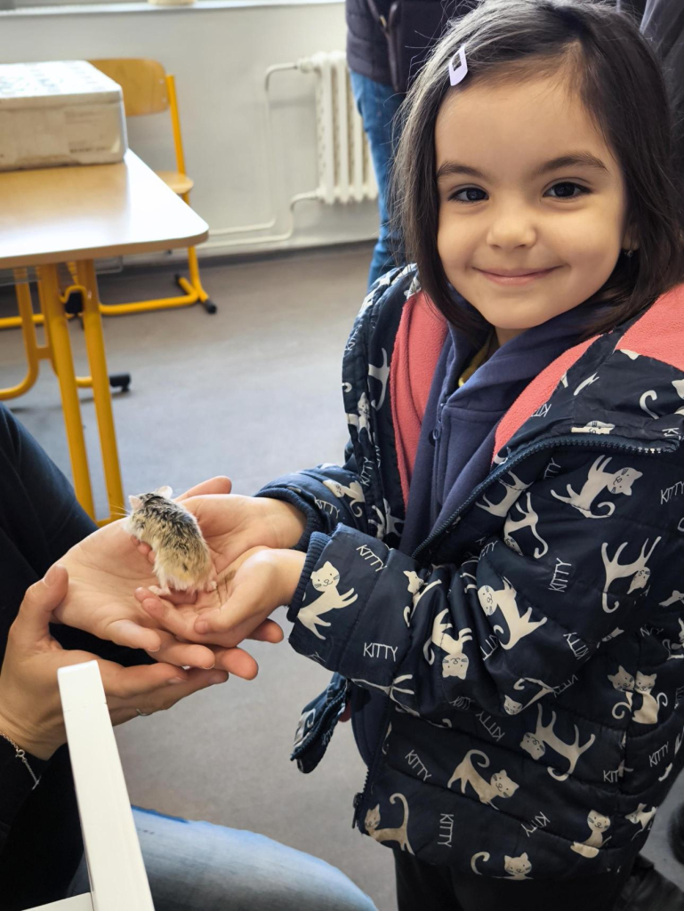 Média - 2026-04-15T045008.671.jpg