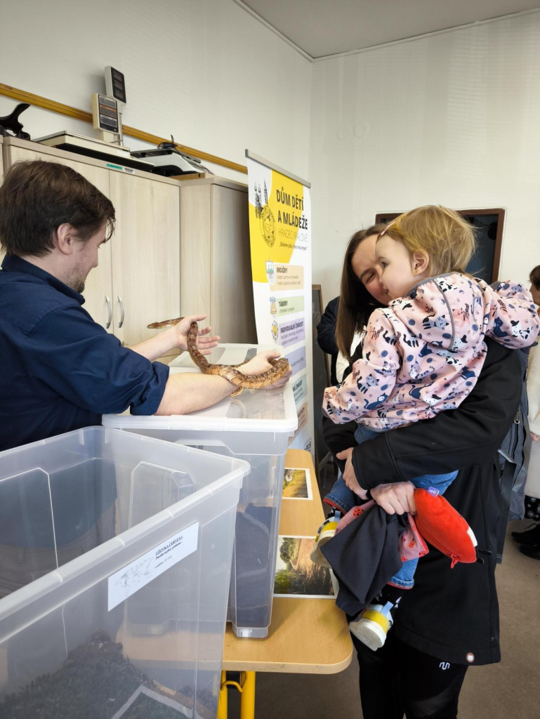 Média - 2026-04-15T045005.424.jpg